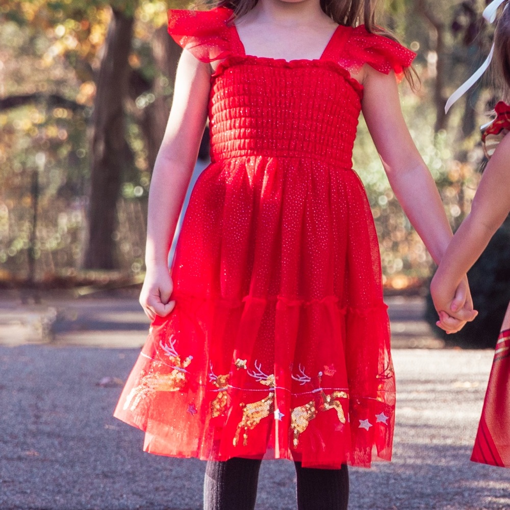 Holiday Dress